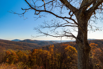 Fototapeta premium Morning at Thornton Hollow Overlook