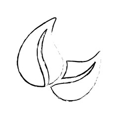 Leaf green ecology icon vector illustration graphic design