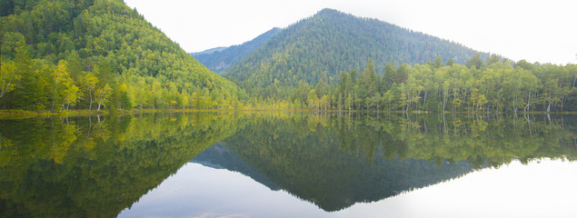 Forest lake smooth as a mirror of water.