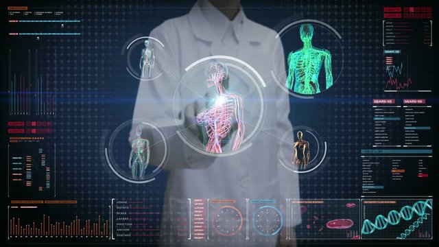 Female doctor touching digital screen, Female body scanning blood vessel, lymphatic,  circulatory system in digital display dashboard. Blue X-ray view. 