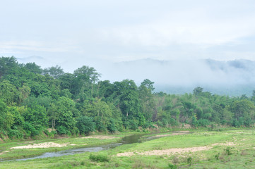Obraz premium Tropical rainforest at Huai Kha Khaeng Wildlife Sanctuary, Thailand, Forest landscape at World Heritage