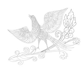 Coloring book page. Ornamental flowers and fantasy bird. Vector illustration hand drawn. Line art.