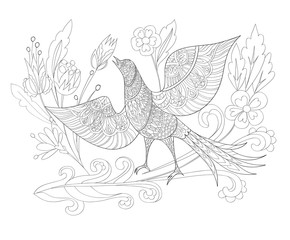 Fototapeta premium Coloring book page. Ornamental flowers and fantasy bird. Vector illustration hand drawn. Line art.