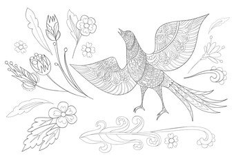 Coloring book page. Ornamental flowers and fantasy bird. Vector illustration hand drawn. Line art.