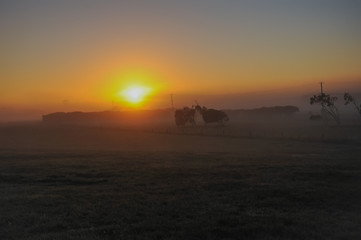 Obraz premium Misty morning