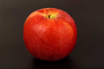 One red ripe apple close up on a black background.