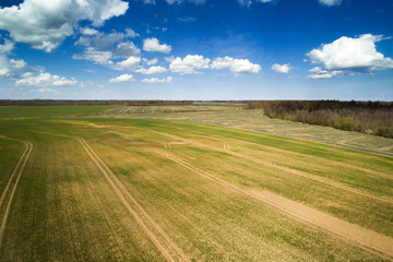 Early spring in Latvian countryside.
