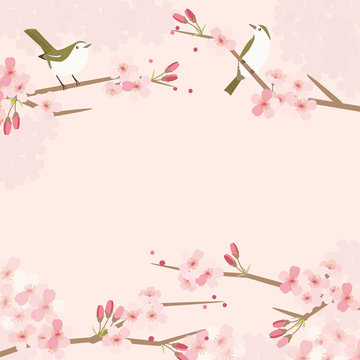 桜と鶯のイラスト