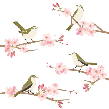 桜と鶯のイラストセット