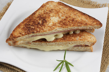 sandwich 04122016