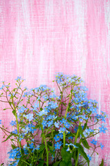 Forgetmenot flowers on wooden surface