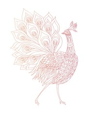 Coloring book page .Peacock ornamental. Fantasy bird. Vector illustration hand drawn. Thin line drawing.