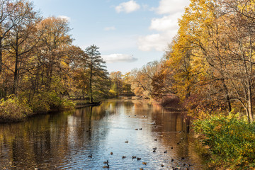 river in autumn