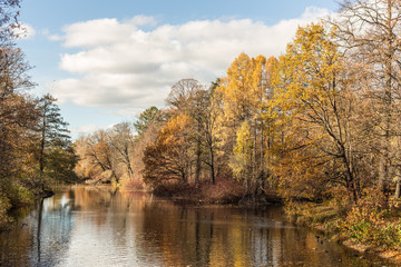 sunny autumn landscape