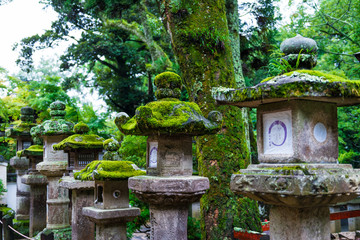 Stone lanterns in Kasuga-taisha shrine, Nara, Japan