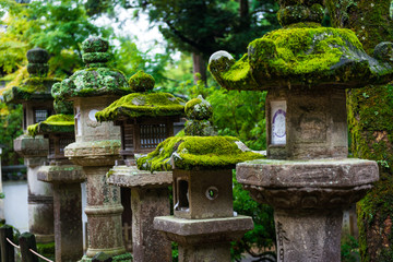 Stone lanterns in Kasuga-taisha shrine, Nara, Japan