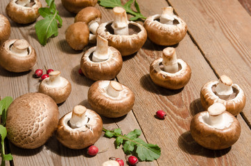 Fresh mushrooms with leaves of arugula