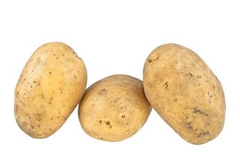 Potato isolated on white background, close up