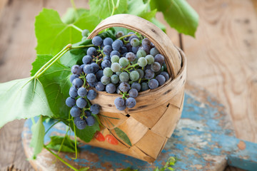 grapes in a bowl on a table, selective focus