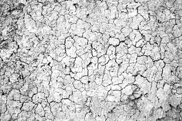 Dry land in a field