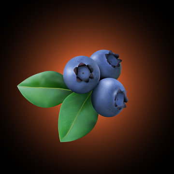 Three Blueberry with leaves