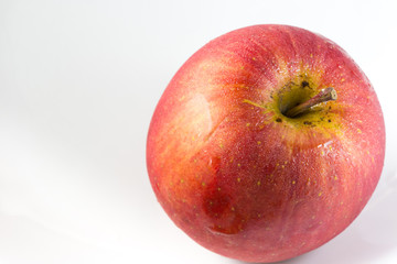 red apple on white background