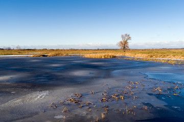 Dolina Narwi © podlaski49