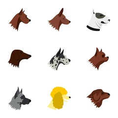 Doggy icons set. Flat illustration of 9 doggy vector icons for web