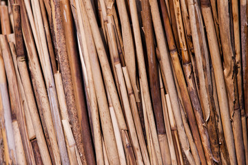 bamboo texture