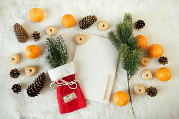 Festive Christmas bag, empty blank of paper for text