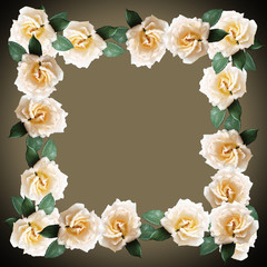 Beautiful floral background of cream roses 