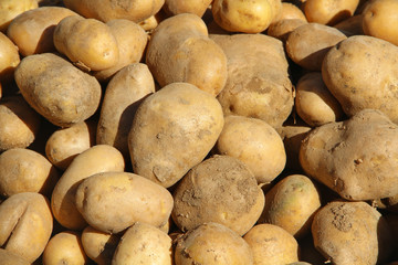potatoes at bazaar