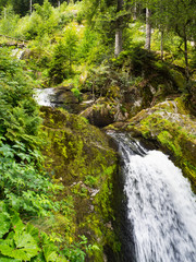 Fototapeta premium cascadas de Triberg , pueblo de La Selva Negra en Alemania, verano de 2016 OLYMPUS DIGITAL CAMERA 