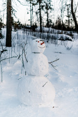 Winter in High Tatras Mountains. High Tatry. Slovakia. Vysok&eacute; Tatry.