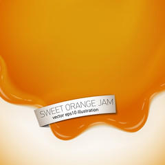 Fresh delicious orange jelly or jam vector illustration