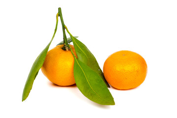 fresh mandarin with leaf isolated on white