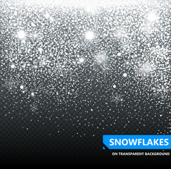 The falling snow on a transparent background. Snowfall. Christmas. Snowflakes. Snowflake vector illustration