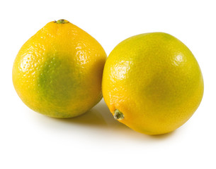 Isolated image of oranges on a white background