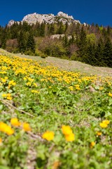 Mt. Velky Rozsutec, Mala Fatra, Slovakia