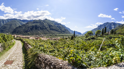 View from castle of Avio to town Sabbinoara and valley Etschtal