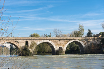 Fototapeta na wymiar Rome (Italy) - The Tiber river and the Milvio Bridge