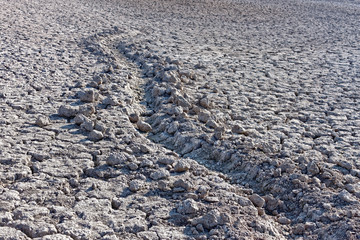 Furrow in dried soil