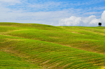 Obraz premium Beautiful Tuscany landscape, Italy 