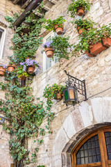 Stone mansion decorated with flowerpots and climber plants