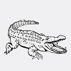 Hand-drawn pencil graphics, crocodile, alligator, croc. Engraving, stencil style. Black and white logo, sign, emblem, symbol. Stamp, seal. Simple illustration. Sketch. - 129551069