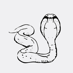 Hand-drawn pencil graphics, snake, cobra. Engraving, stencil style. Black and white logo, sign, emblem, symbol. Stamp, seal. Simple illustration. Sketch.