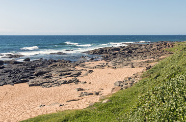 Green Lush Dune Vegetation and Sandy Rocky Beach