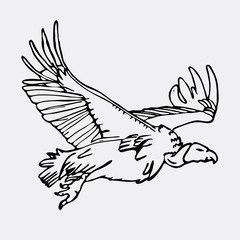 Hand-drawn pencil graphics, african vulture, hawk. Engraving, stencil style. Black and white logo, sign, emblem, symbol. Stamp, seal. Simple illustration. Sketch.