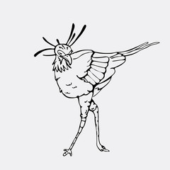 Hand-drawn pencil graphics, secretary bird, eagle, hawk, osprey. Engraving, stencil style. Black and white logo, sign, emblem, symbol. Stamp, seal. Simple illustration. Sketch.