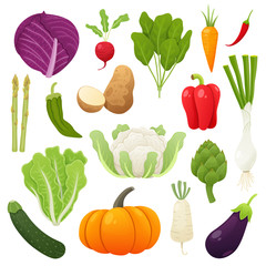 Cute and tasty vegetables collection. Vector illustration.